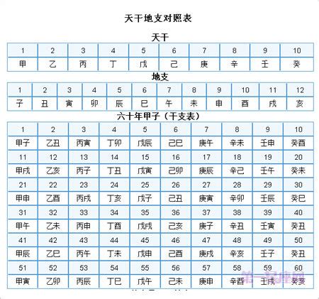 生日 天干地支